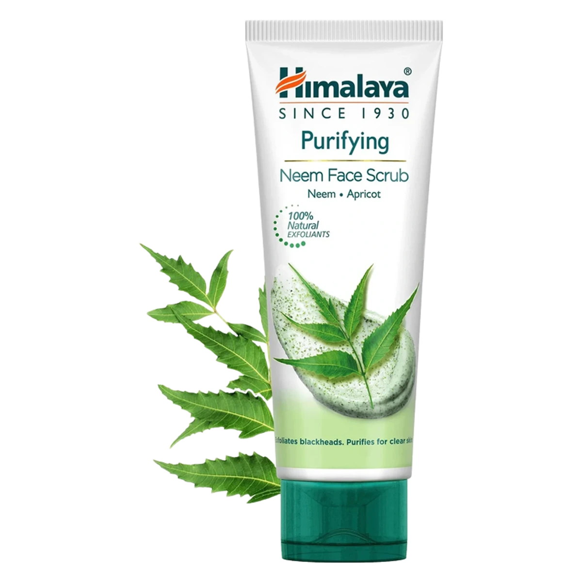 Purifying Neem Face Scrub