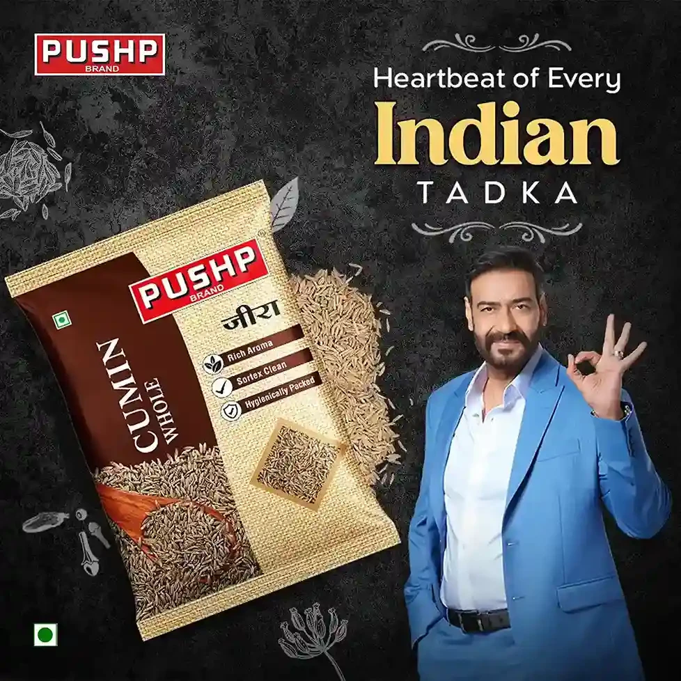 Cumin / Jeera Seeds