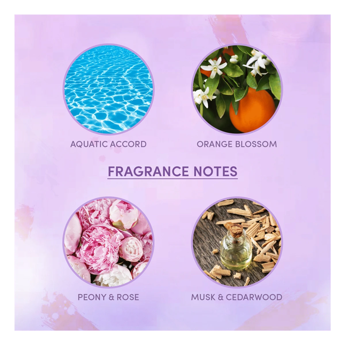 Wottagirl Deo Amber Kiss Fragrant Body Splash