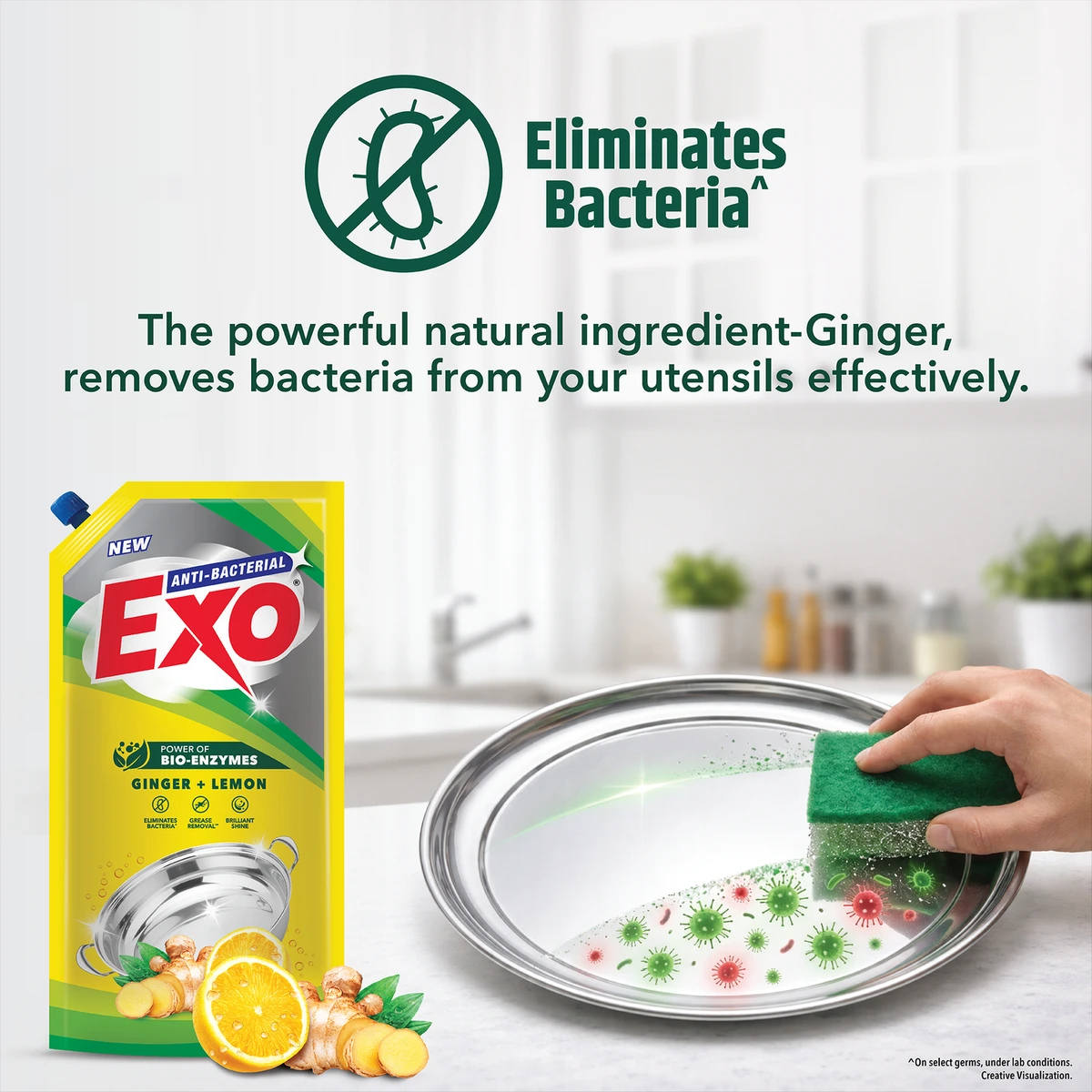 Anti Bacterial Ginger + Lemon Dishwash Gel