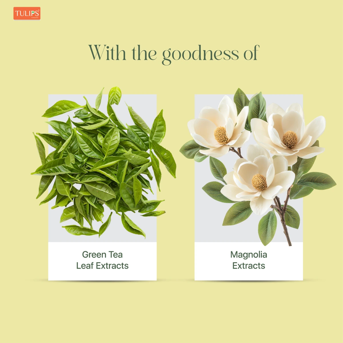 Magnolia Refreshing Wet Wipes