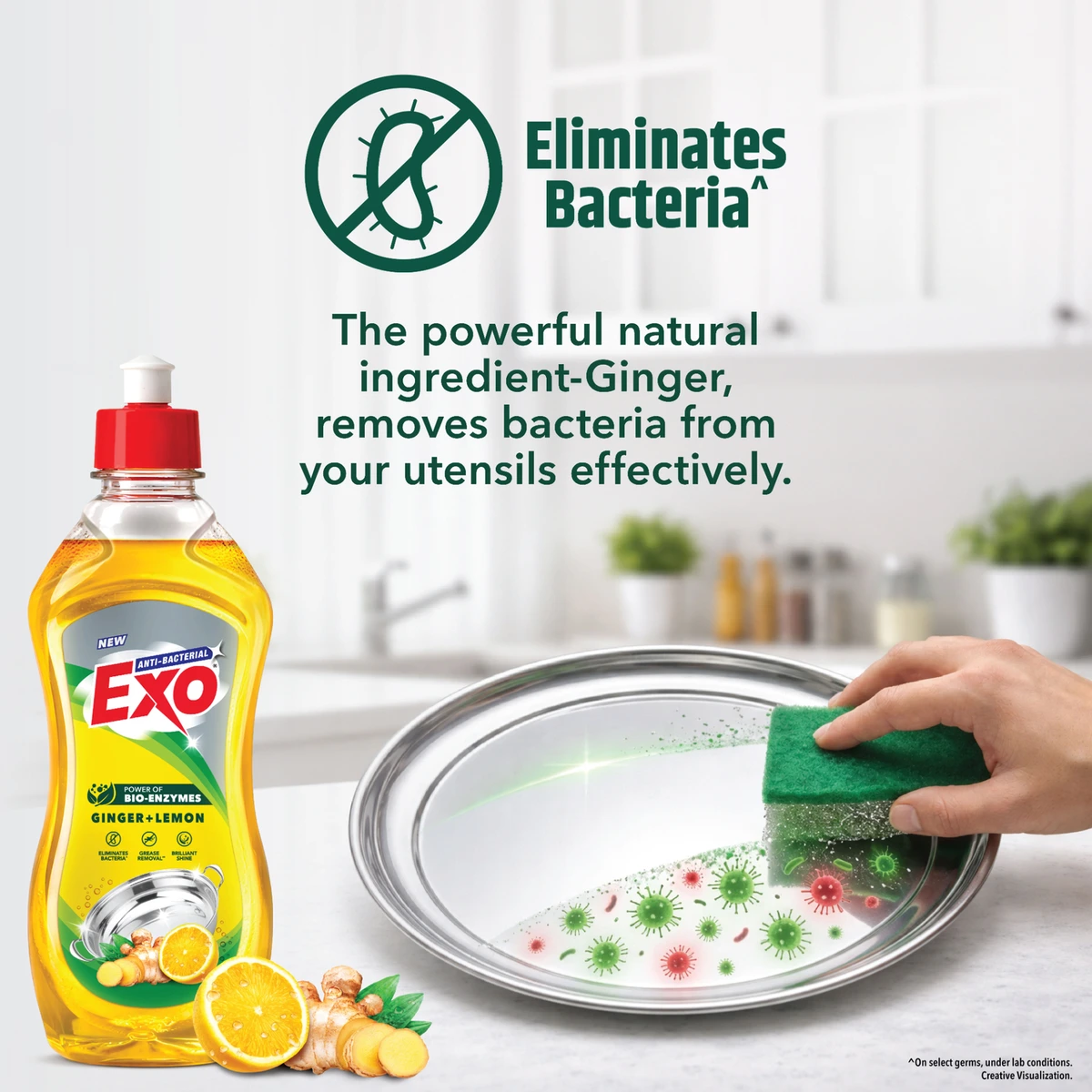 Anti Bacterial Ginger + Lemon Dishwash Gel