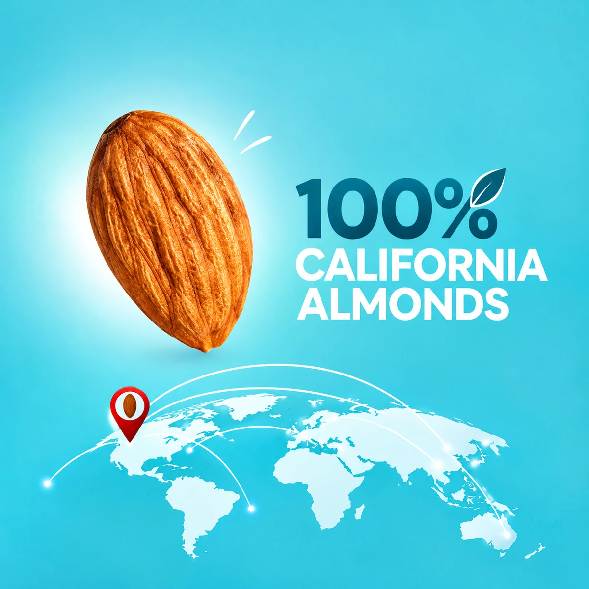 100% California Raw Almonds