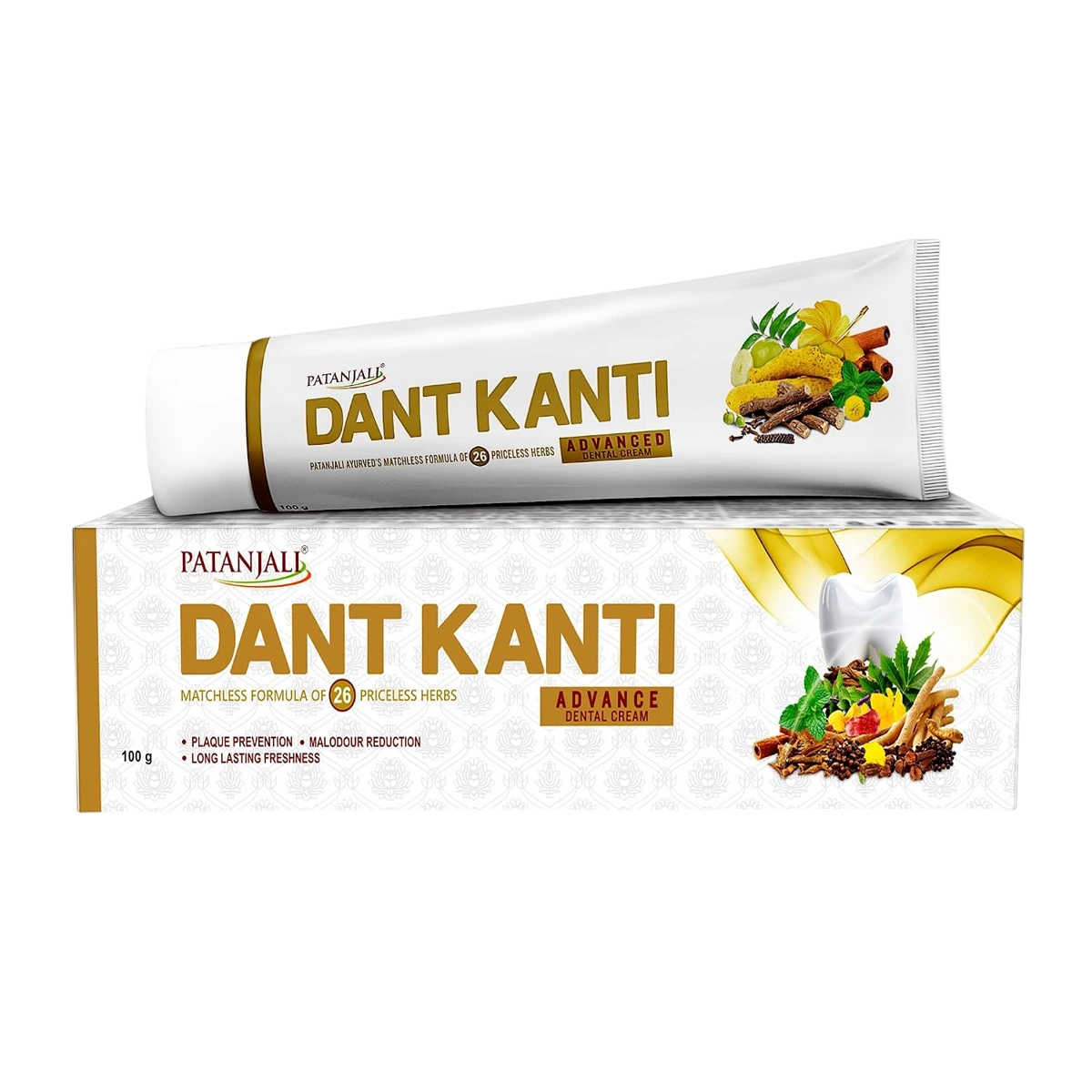 Dant Kanti Advance Dental Cream Toothpaste