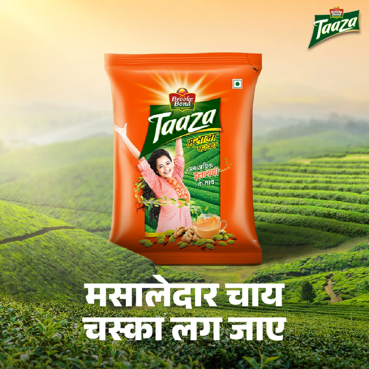 Taaza Masala Tea