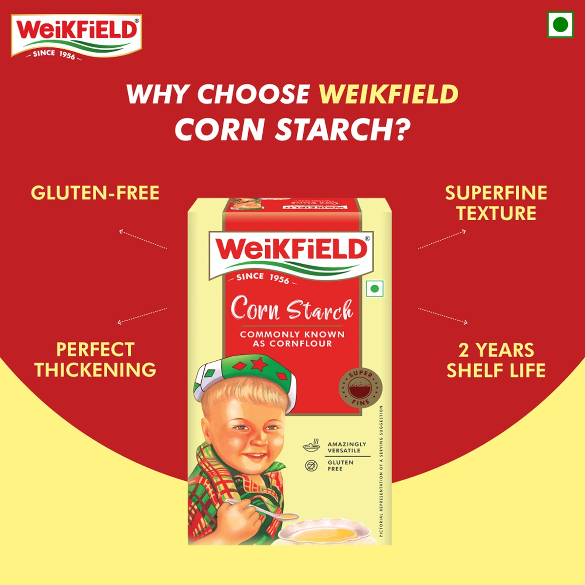 Corn Starch Powder