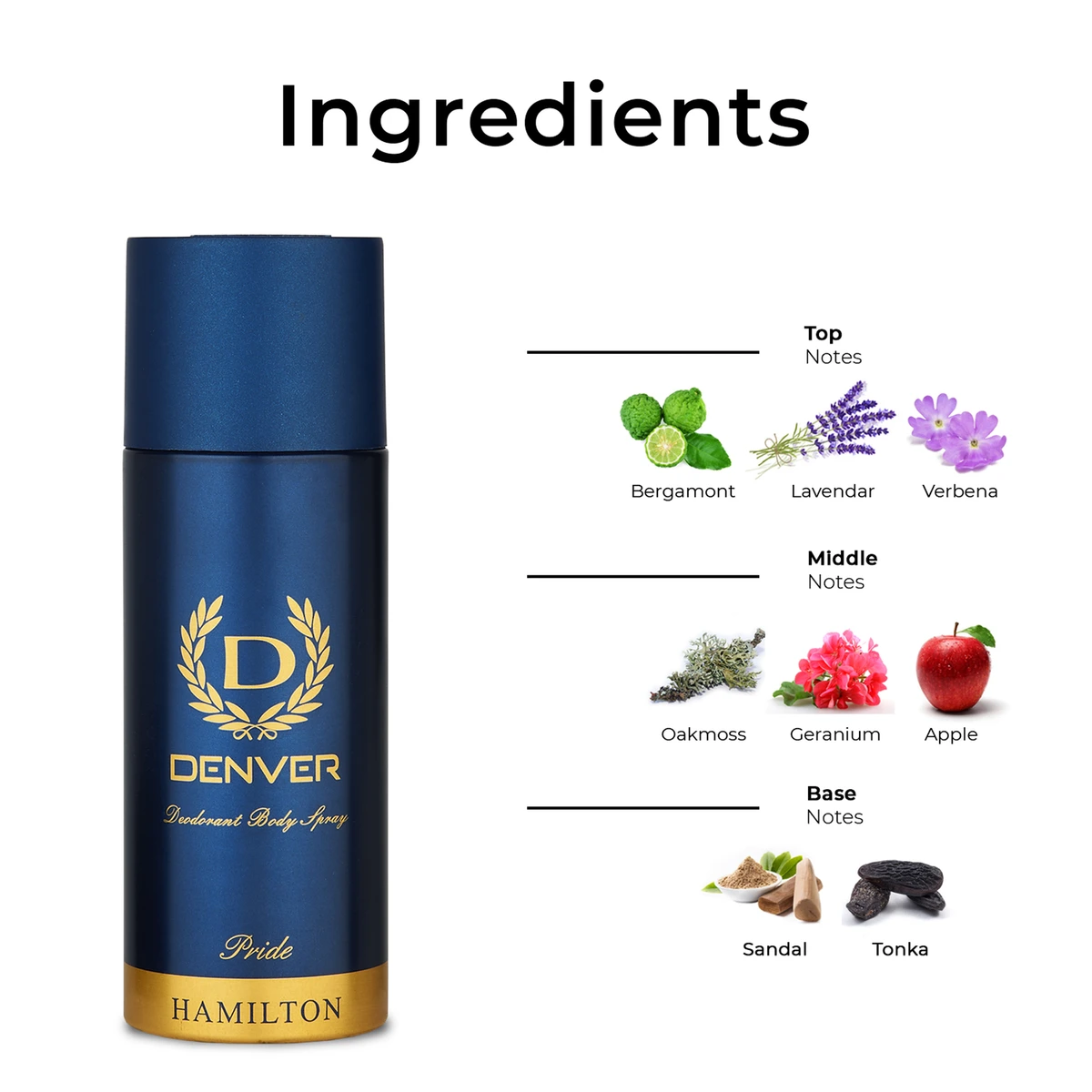 Pride Deodorant Body Spray for Men