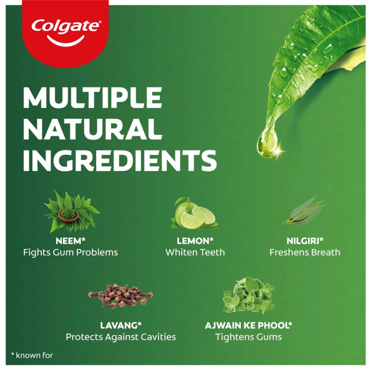 Active Salt Neem Toothpaste