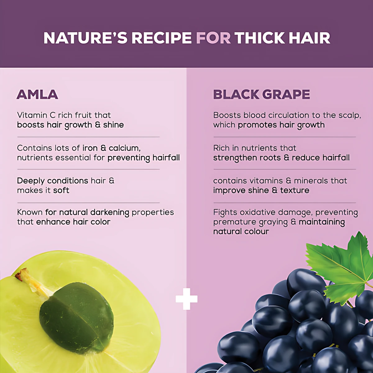 Hair Fruits Shining Black Amla & Grape Conditioning Shampoo