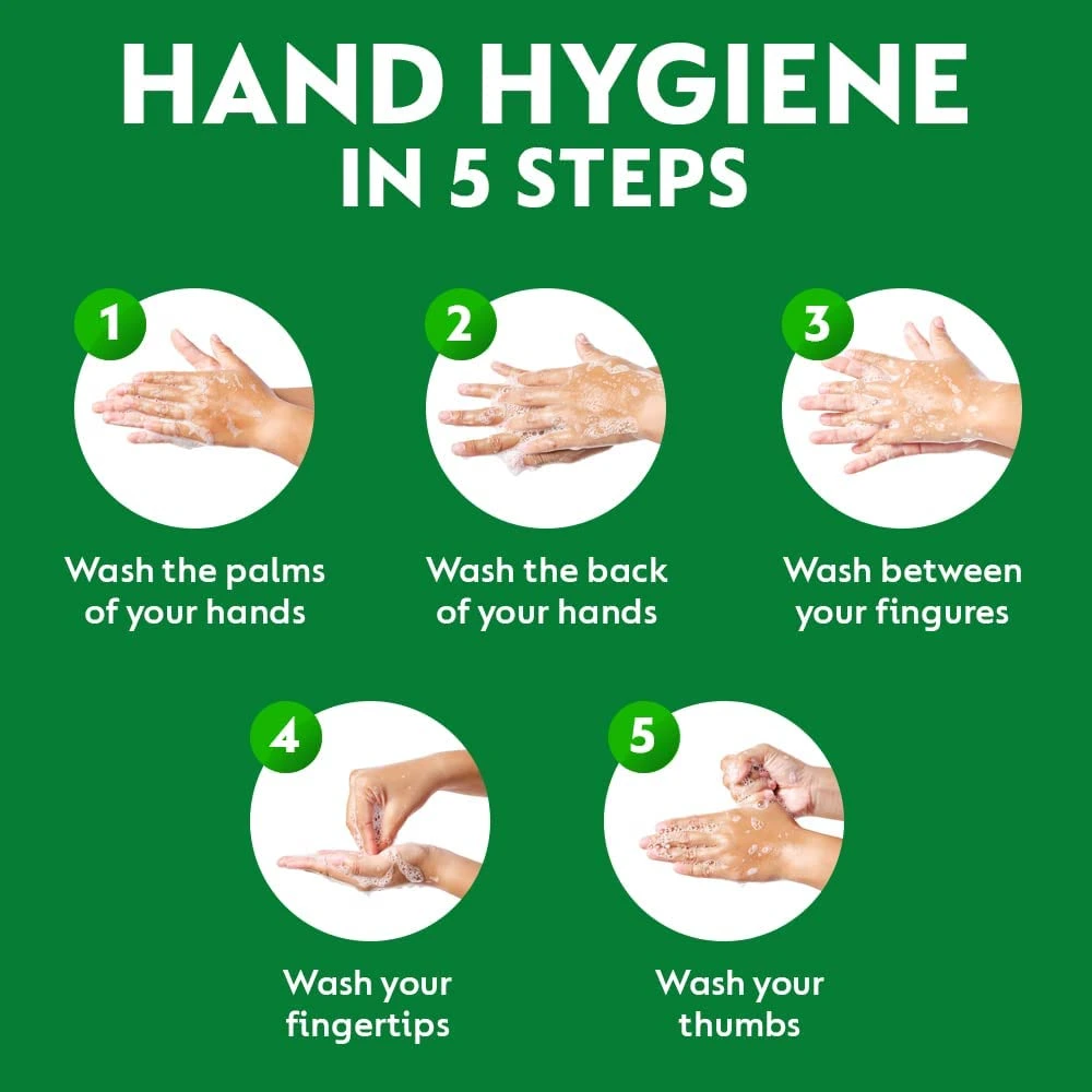 Original and Skincare Liquid Handwash Combo