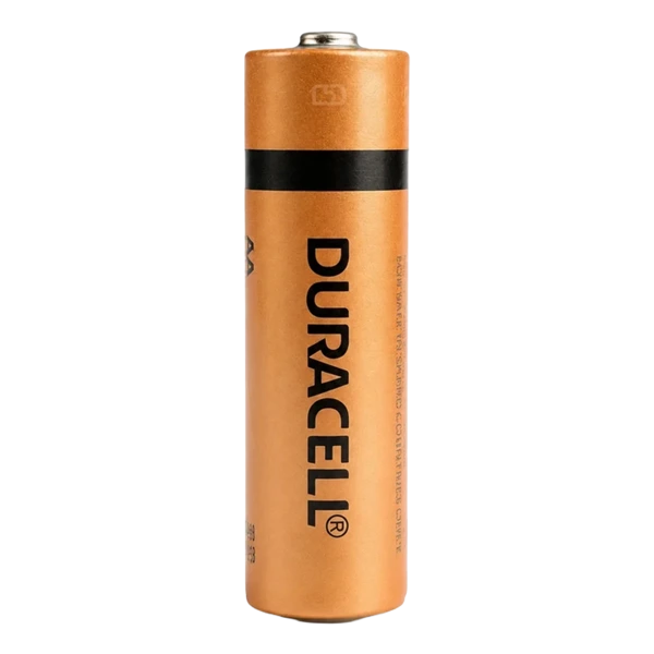 Panasonic AA Alkaline Battery
