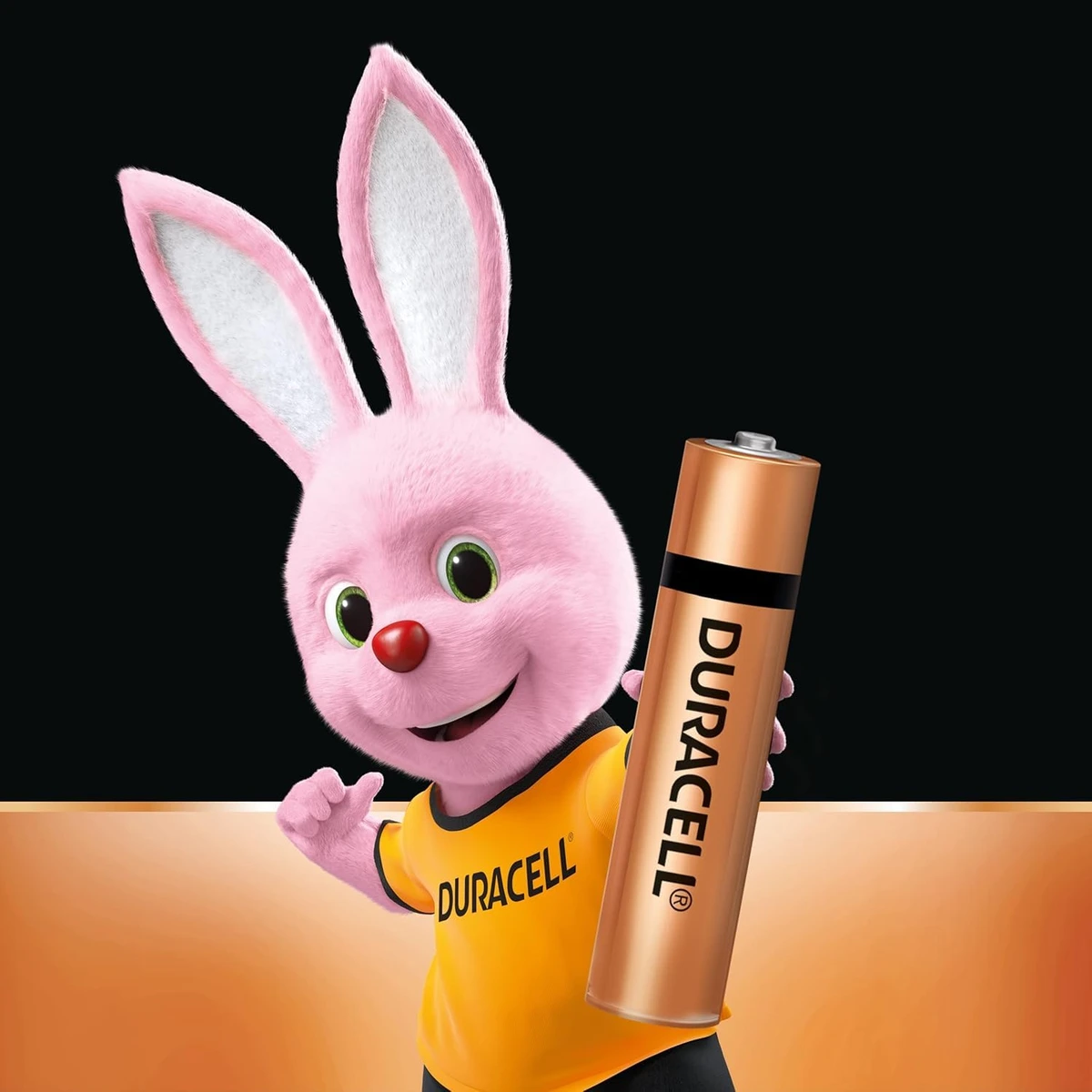 AA Alkaline Battery