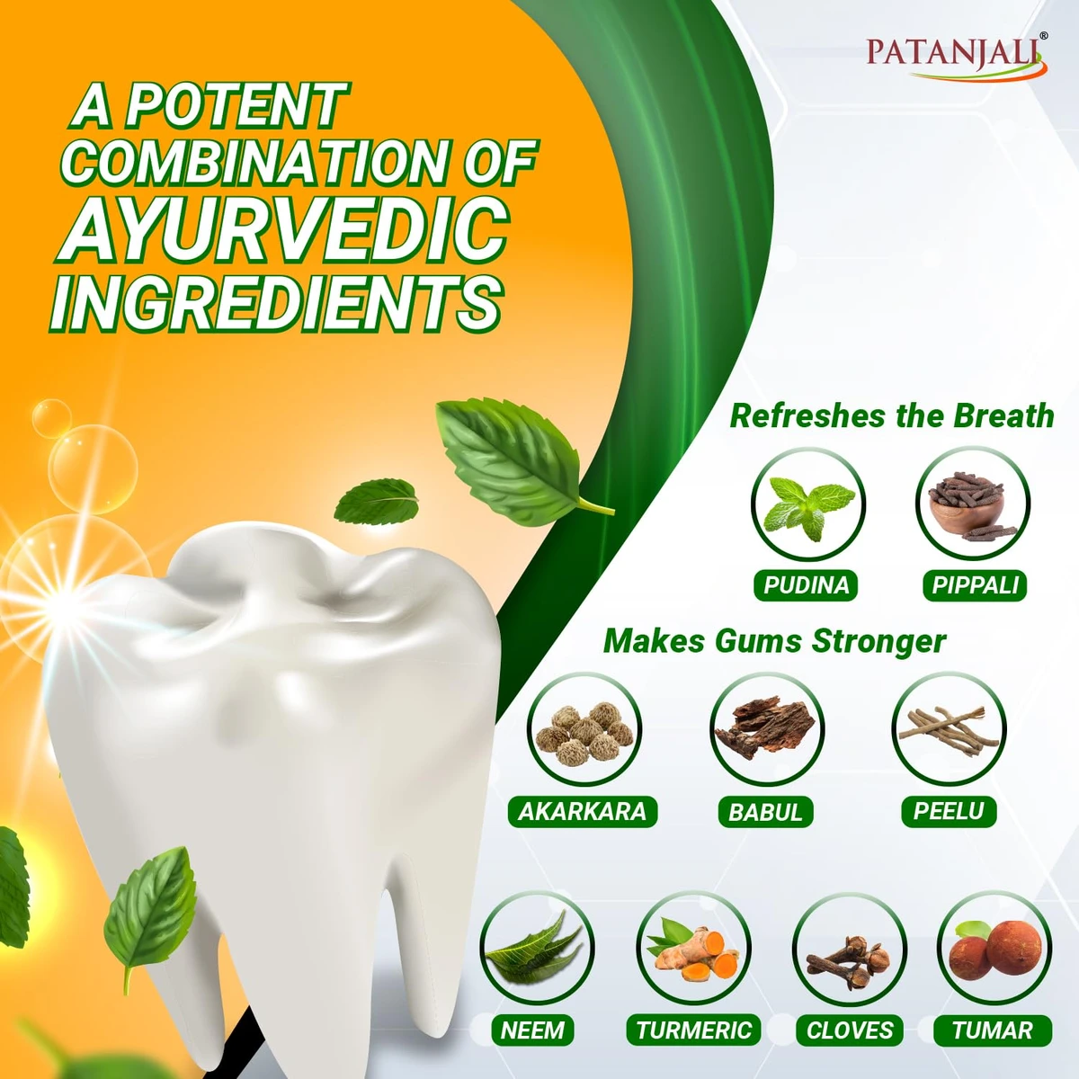 Dant Kanti Natural Herbal Toothpaste