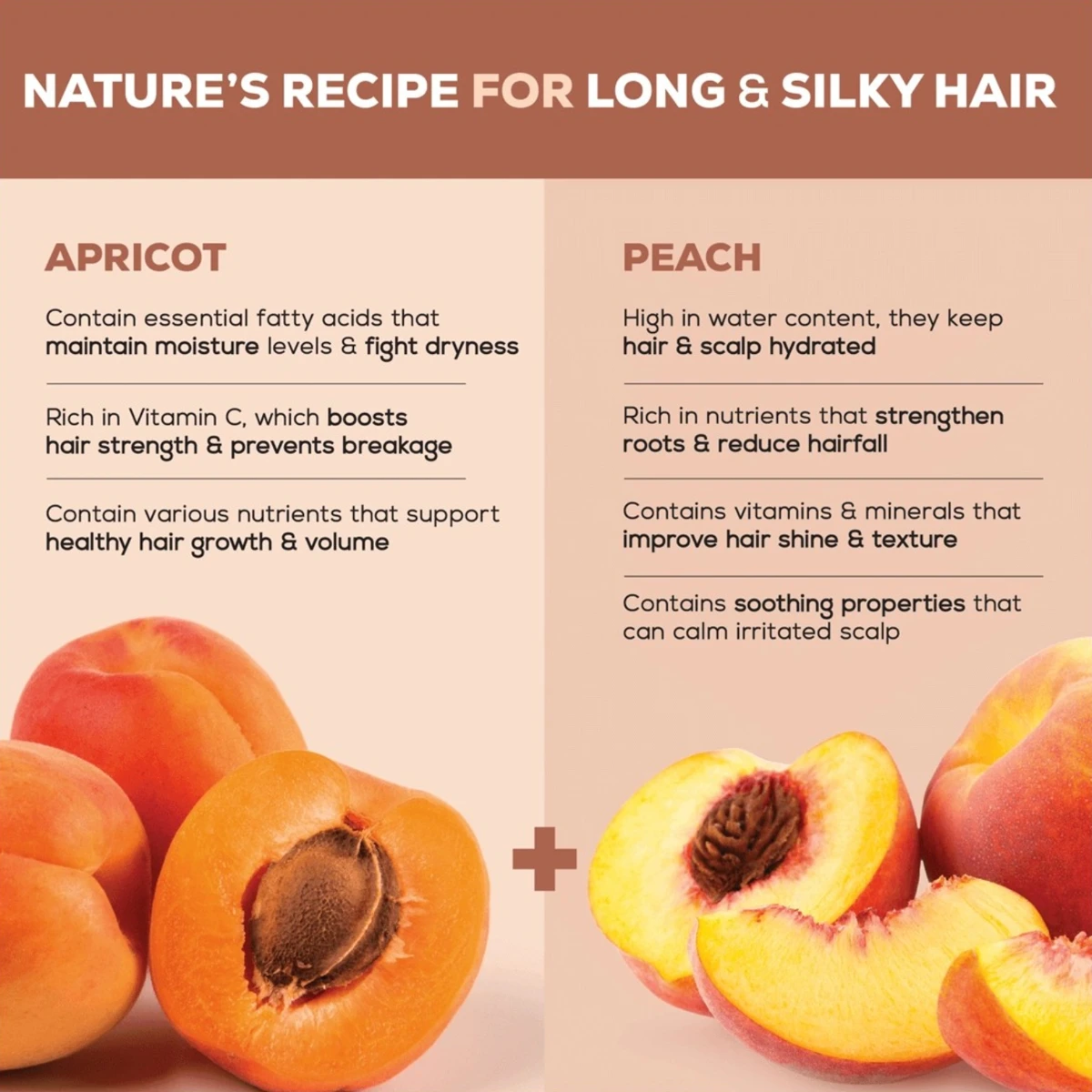 Hair Fruits Long & Silky Apricot & Peach Fruit Conditioning Shampoo
