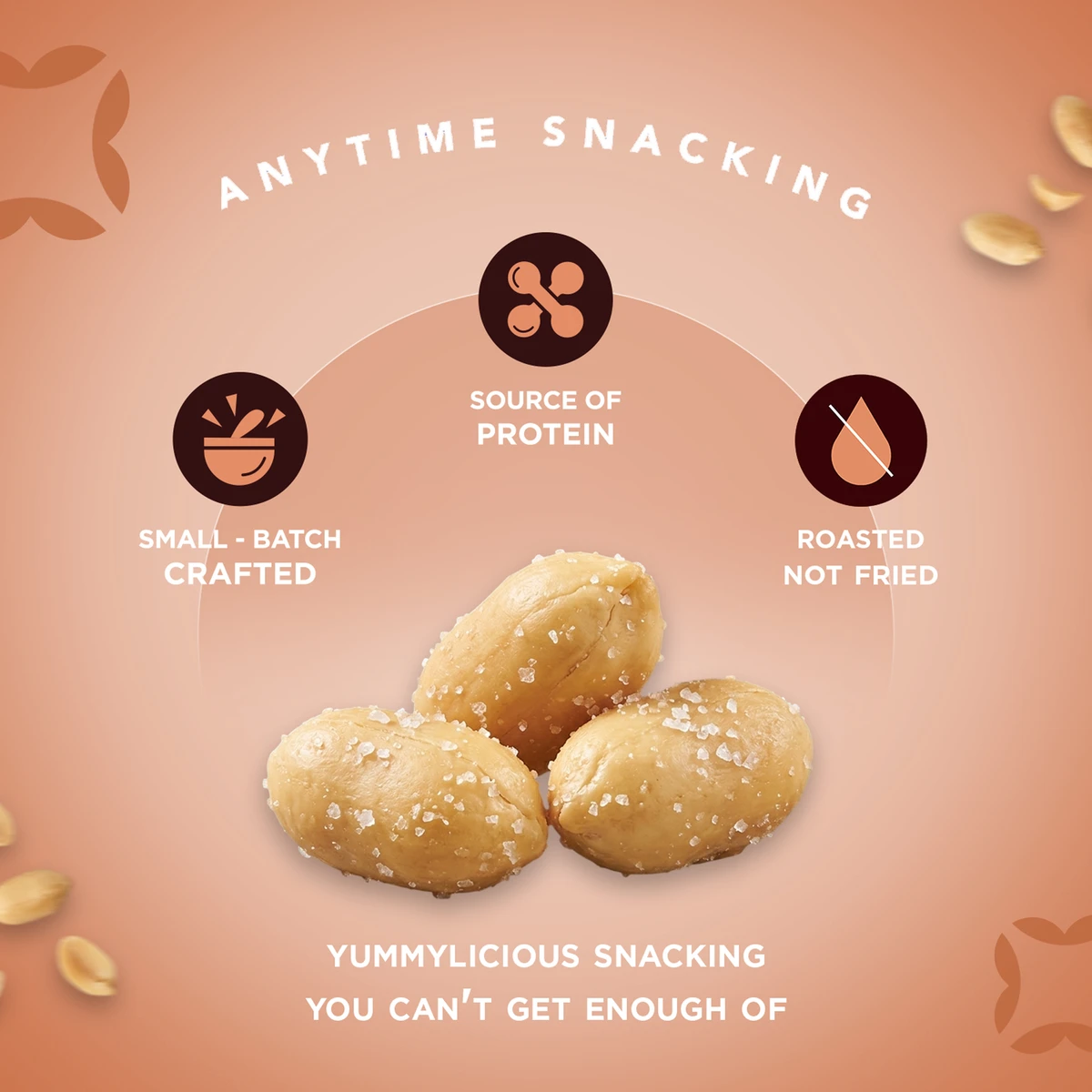 Salted Peanuts