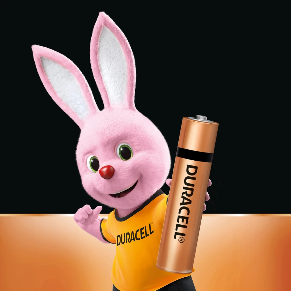 AAA Alkaline Battery