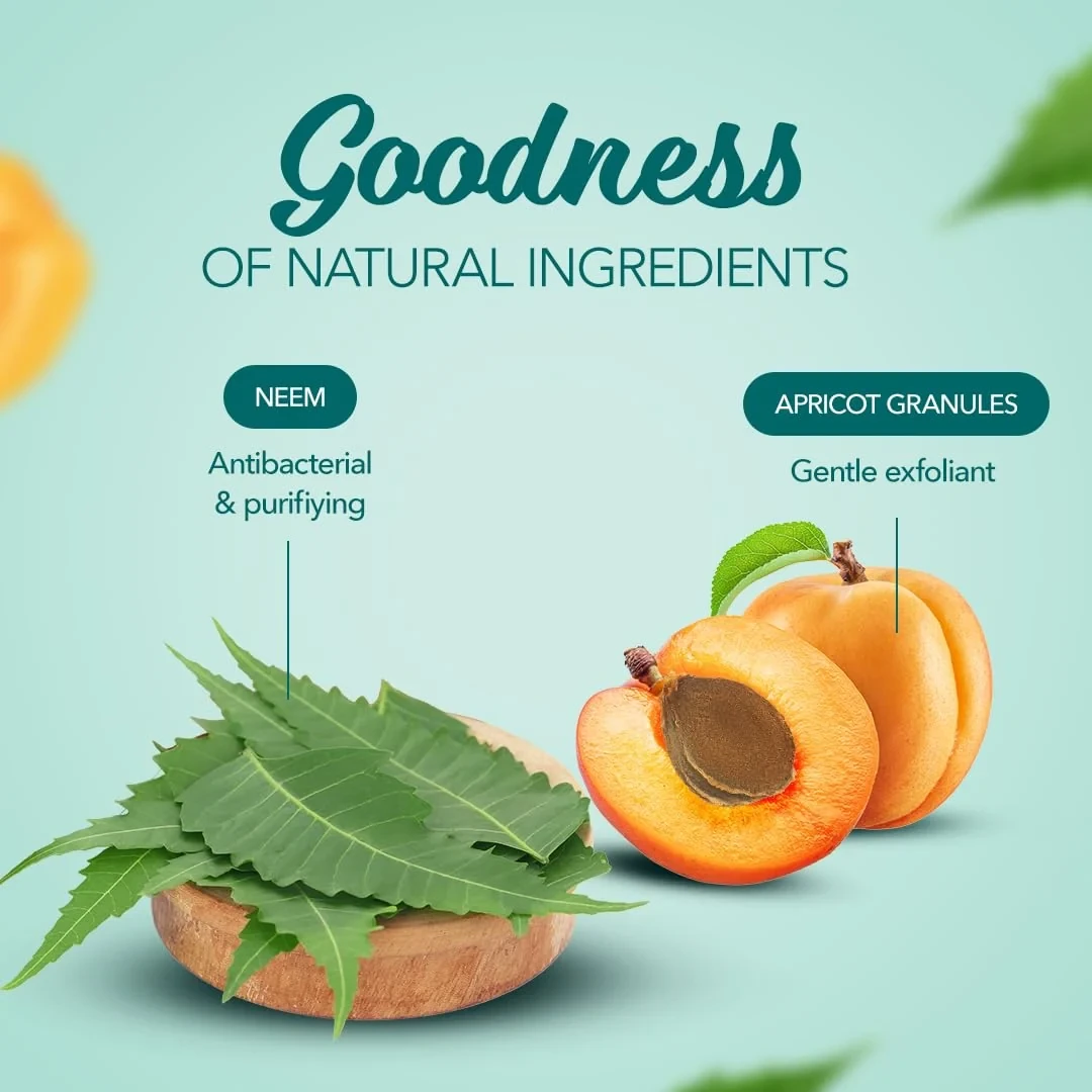 Purifying Neem Face Scrub