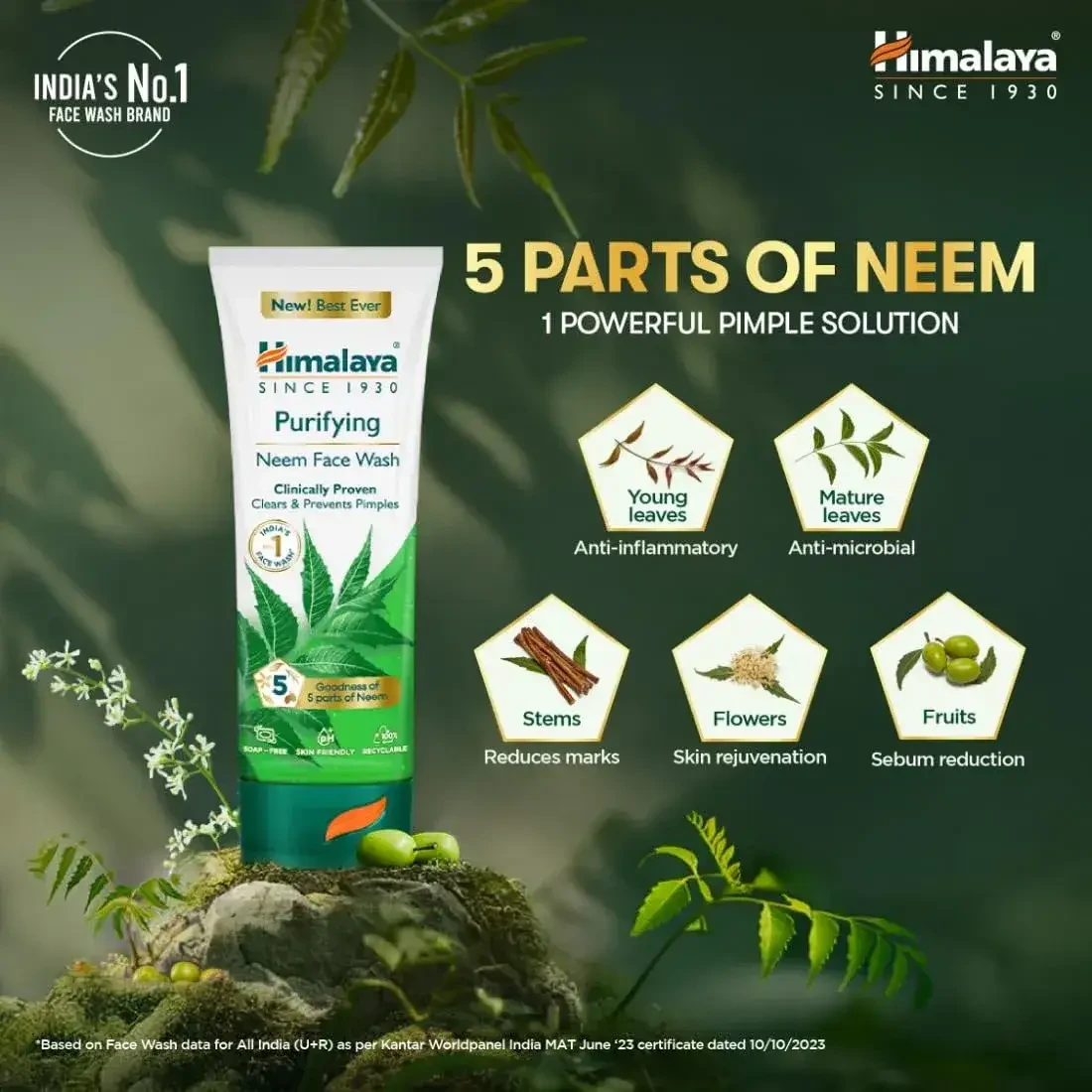 Purifying Neem Facewash
